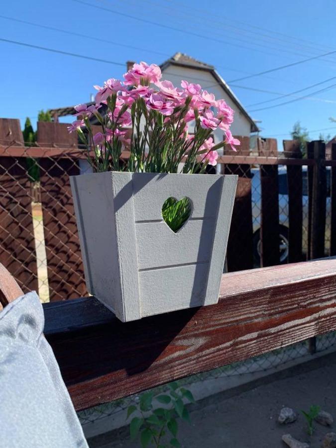 Mandi Apartman Верешедьхаз Экстерьер фото